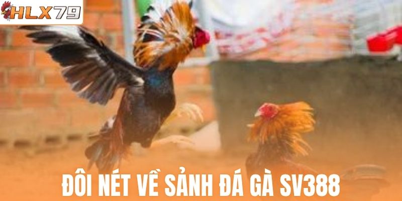 Đôi nét về sảnh đá gà SV388