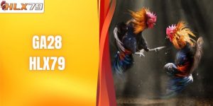 GA28 - Sảnh Chọi Kê Đỉnh Cao, Hấp Dẫn Bậc Nhất HLX79